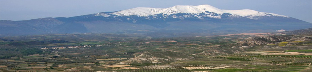 Alto Moncayo