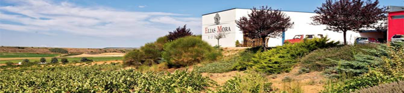 Bodega Elías Mora