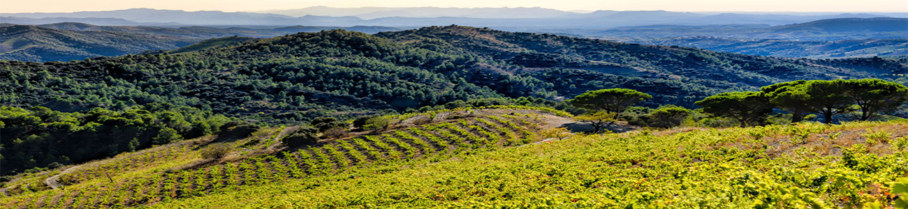 Terroir al Límit