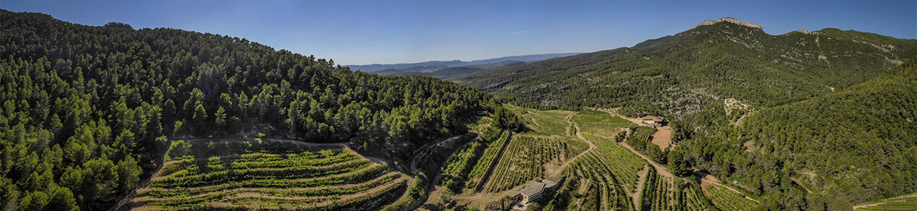 Celler Vinyes Domènech