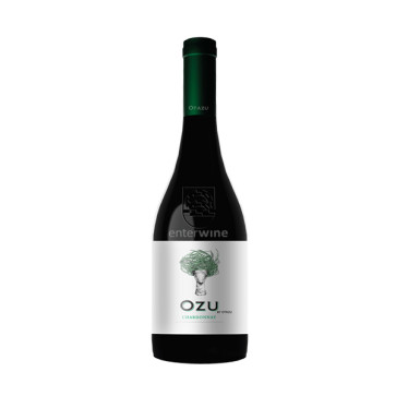 otazu chardonnay 2013